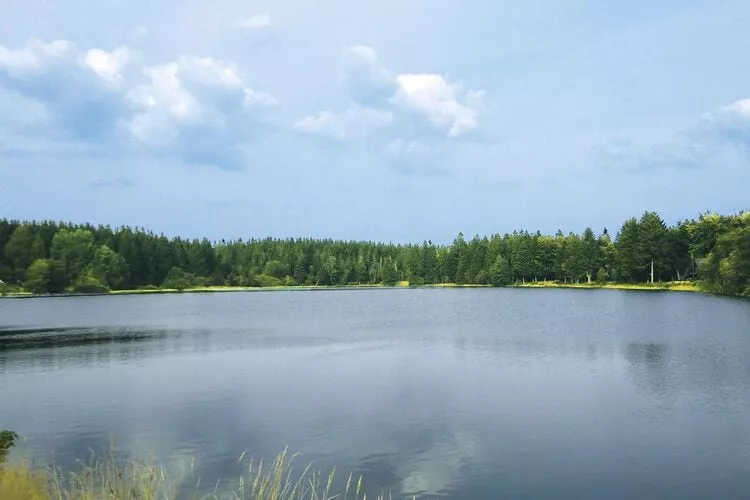 Typ A -  Nurdachhaus - mit Haustier-Waterzicht