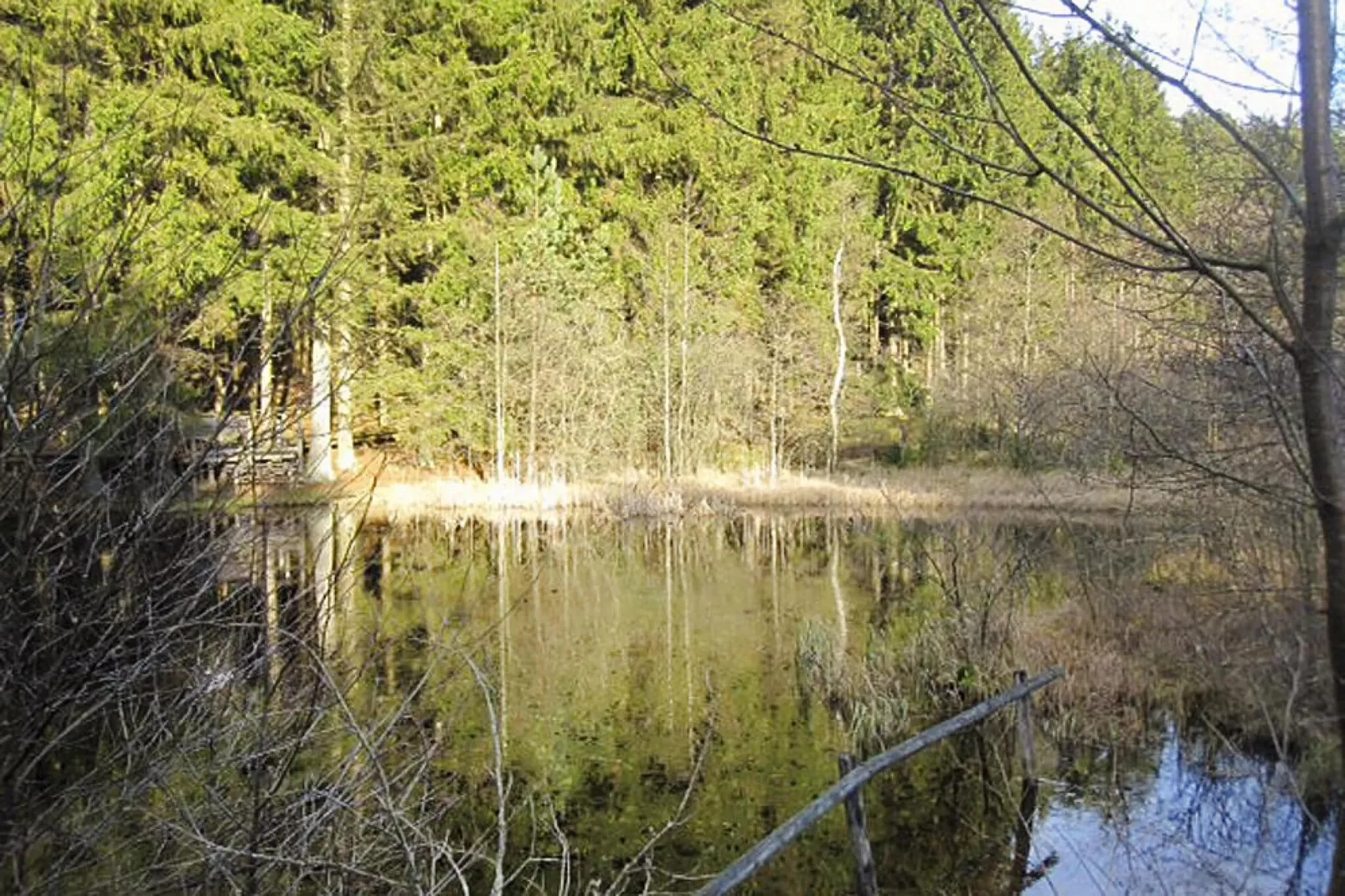 Habicht 1-2 Pers-Tuinen zomer