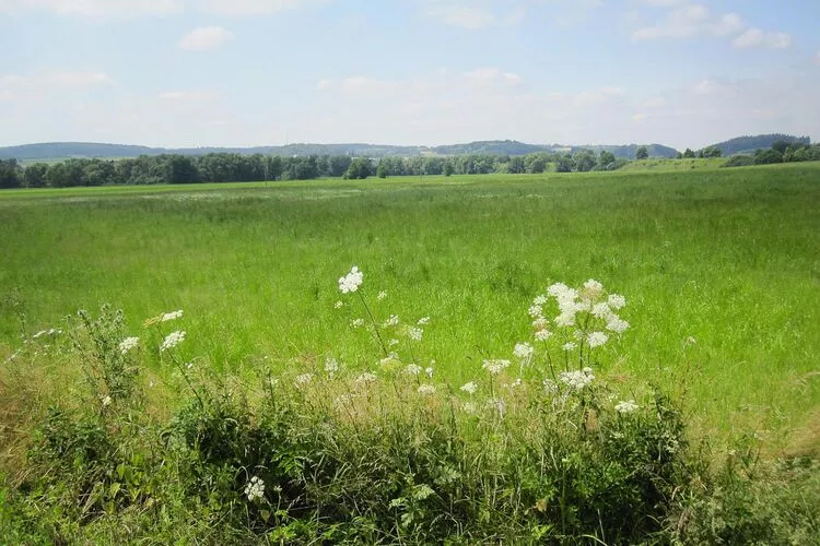 Habicht 4 Pers-Gebieden zomer 1km