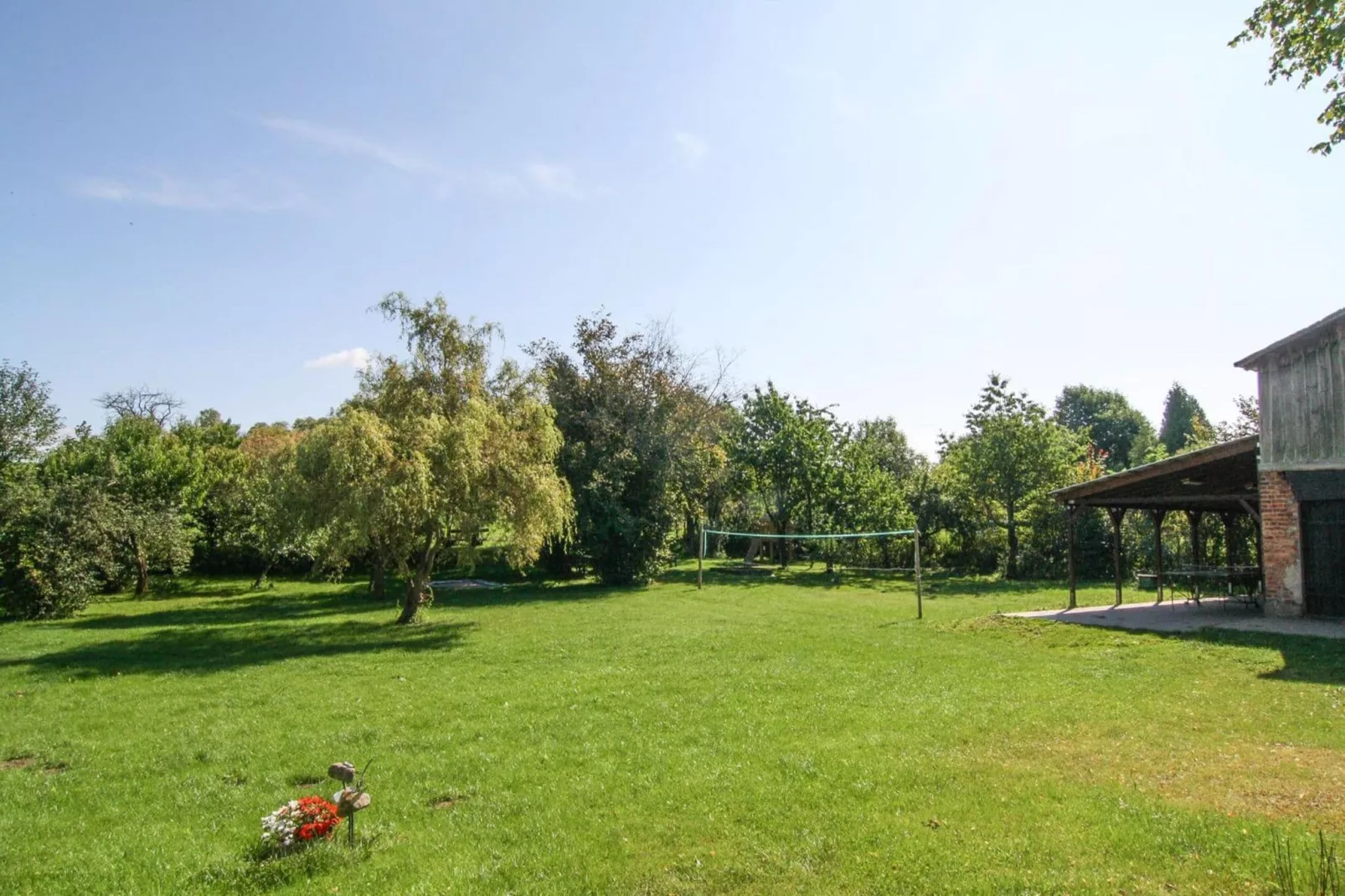 Ferienhaus Gänseblümchen-Tuinen zomer