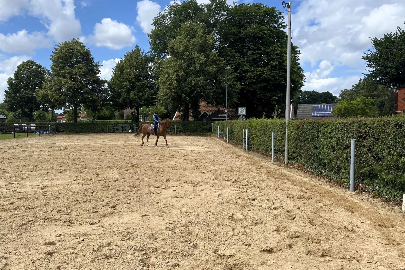 Schwalbenhaus-Gebieden zomer 1km