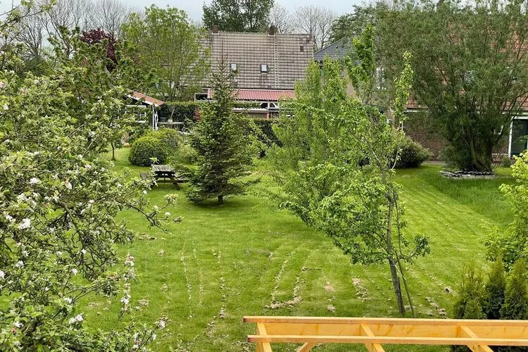 Ferienhaus mit großem Grundstück in Friederikensiel-Tuinen zomer