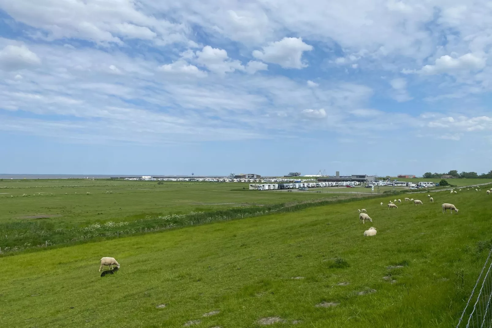 Ferienwohnung Dornumersiel-Gebieden zomer 1km