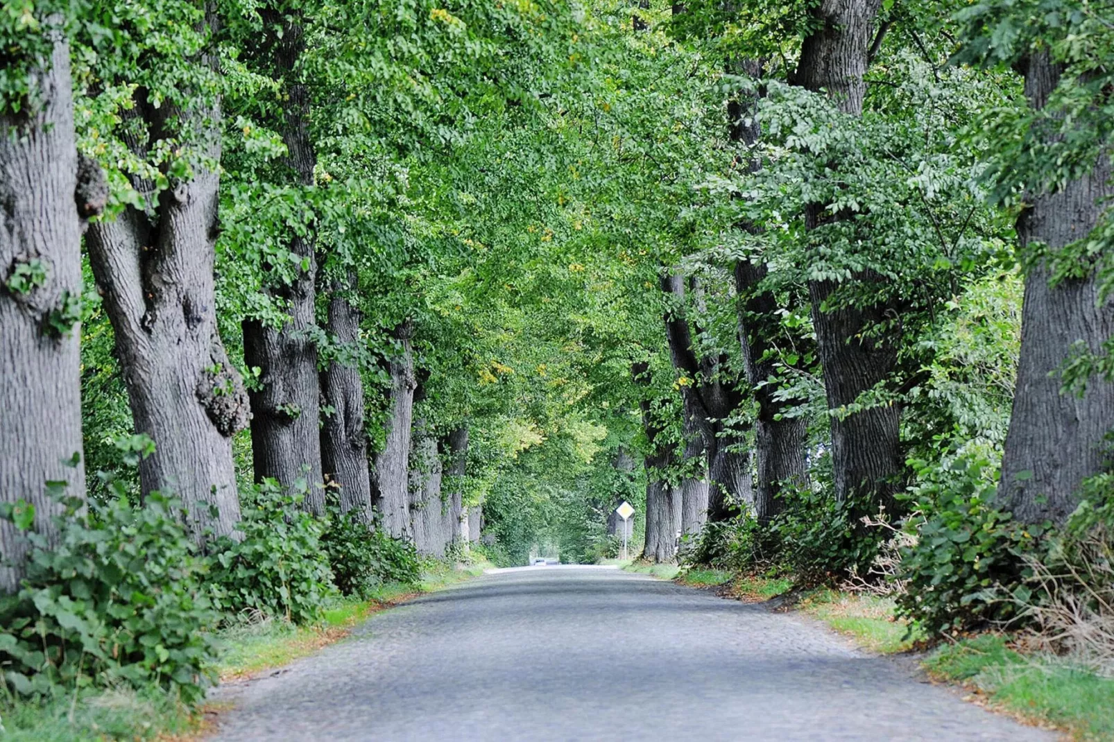 Gutshaus Zicker -Wohnung 4-Gebieden zomer 20km