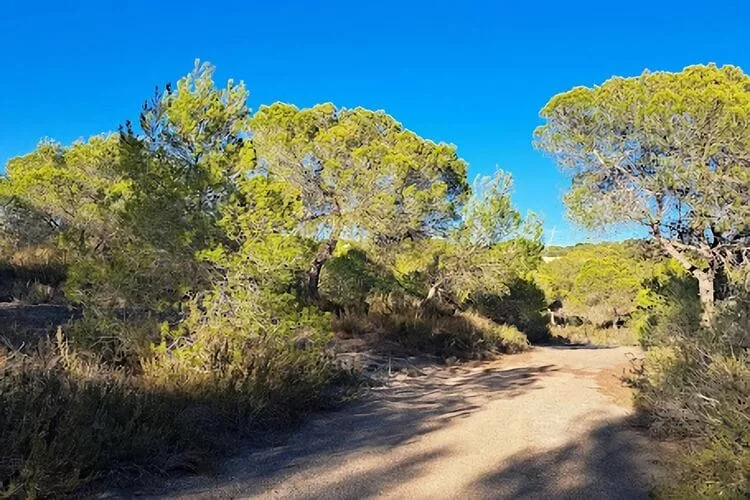 Apartamento  Tipuana-Gebieden zomer 20km