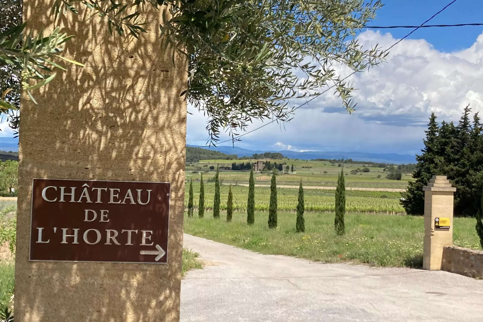 Mas de Montbrun-Gebieden zomer 1km