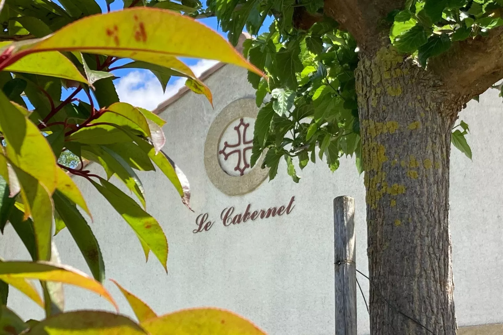 Villa Le Cabernet-Buitenkant zomer