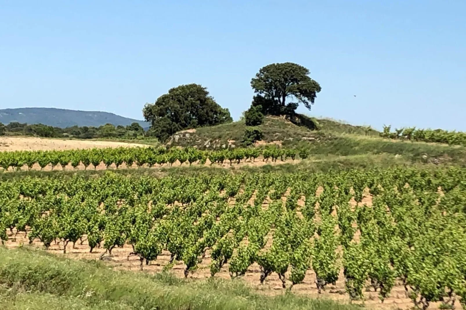 Villa Le Cabernet-Gebieden zomer 1km