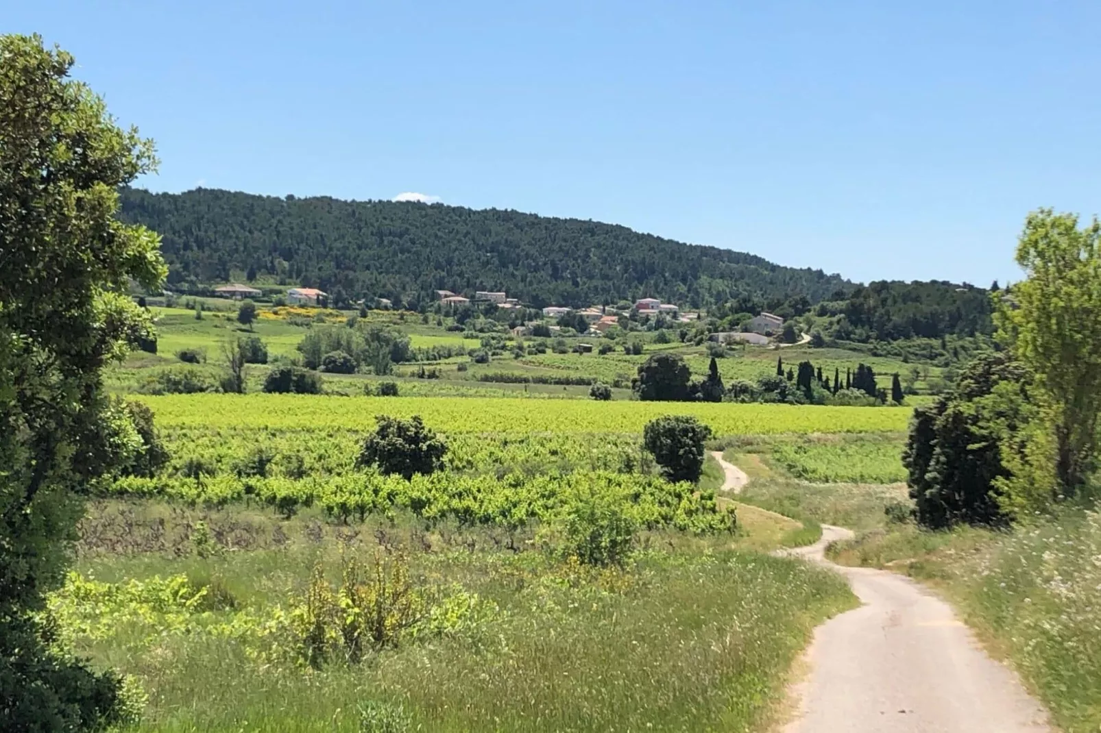 Villa Le Cabernet-Gebieden zomer 1km