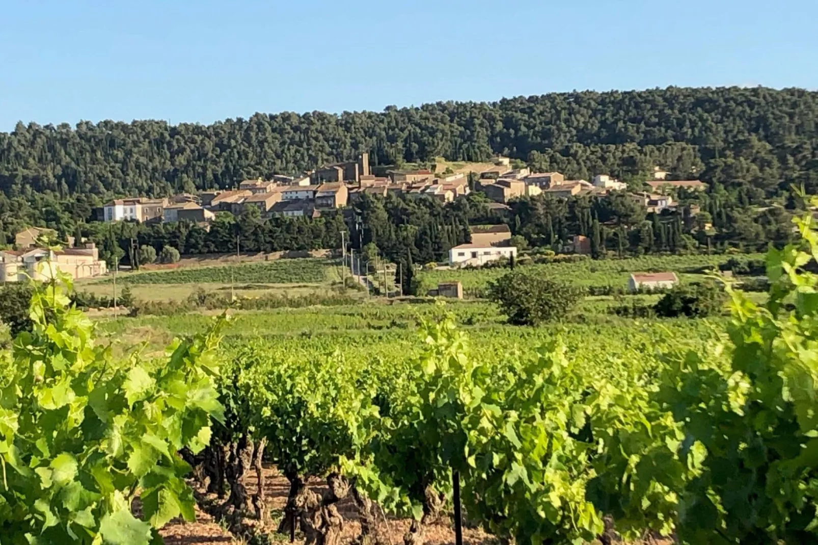 Villa Le Cabernet-Gebieden zomer 1km