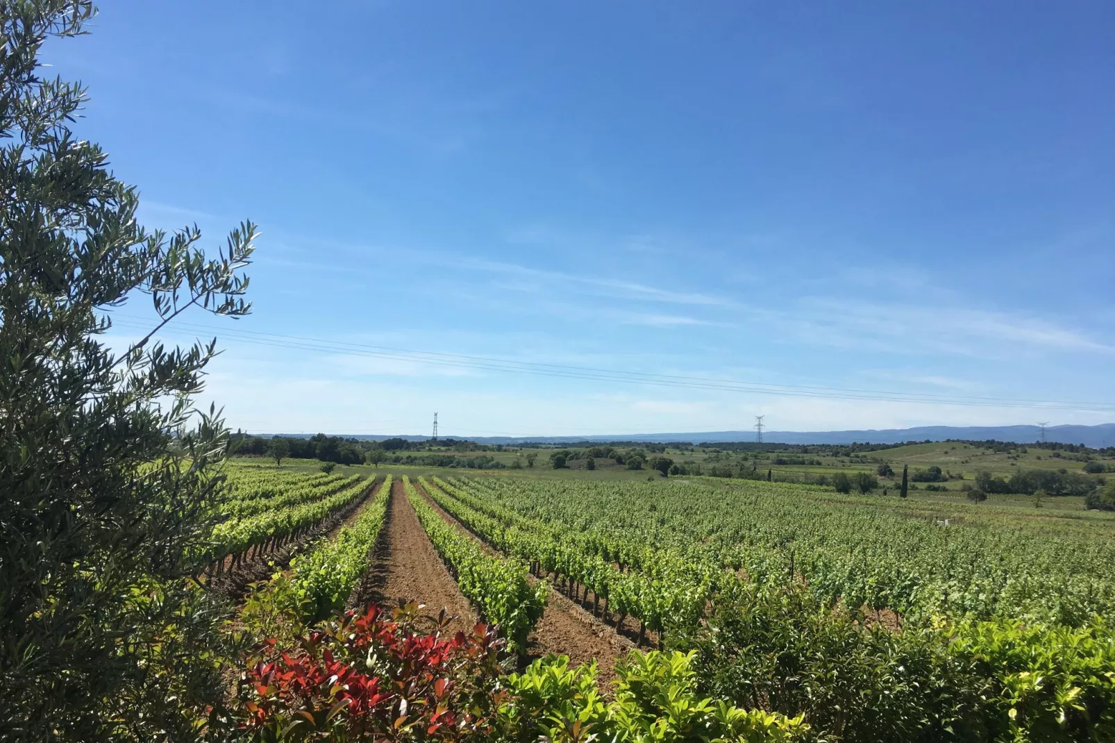 Villa Le Carignan-Gebieden zomer 5km