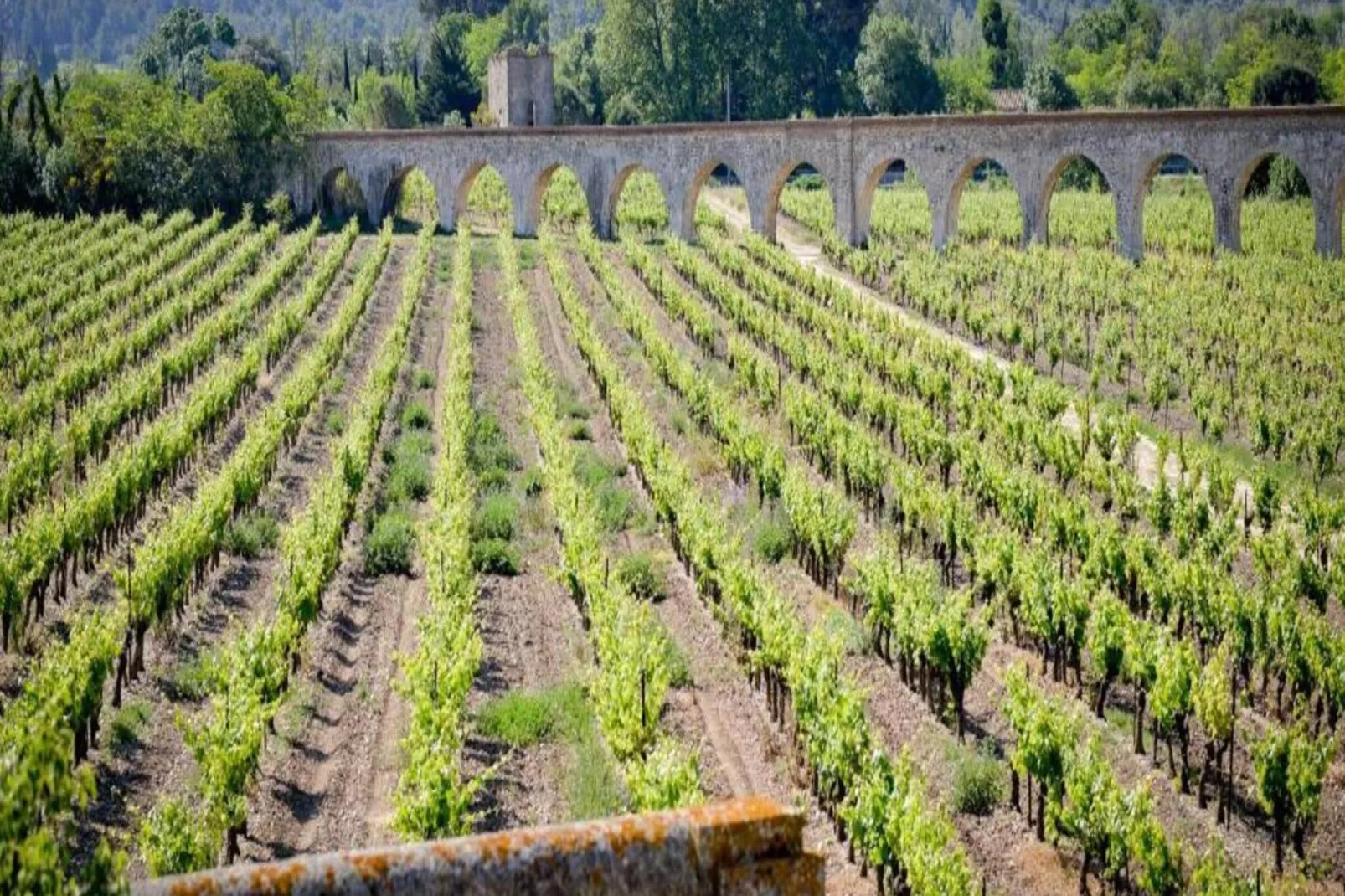 Résidence du Château de Jouarres - Azille // Studio 2 pers-Gebieden zomer 5km