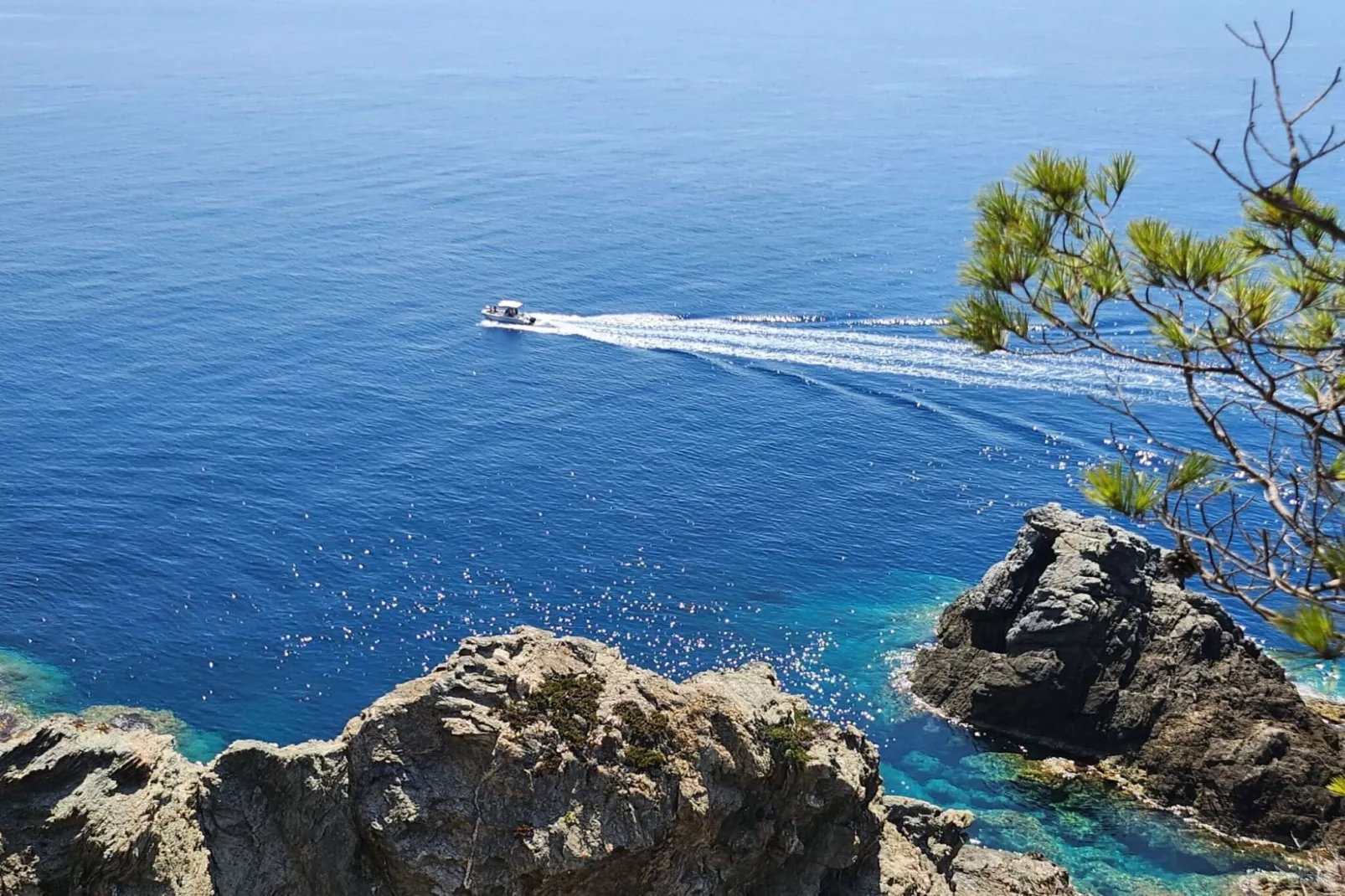 Studio Marina de Parel aan de Côte d'Azur-Gebieden zomer 5km