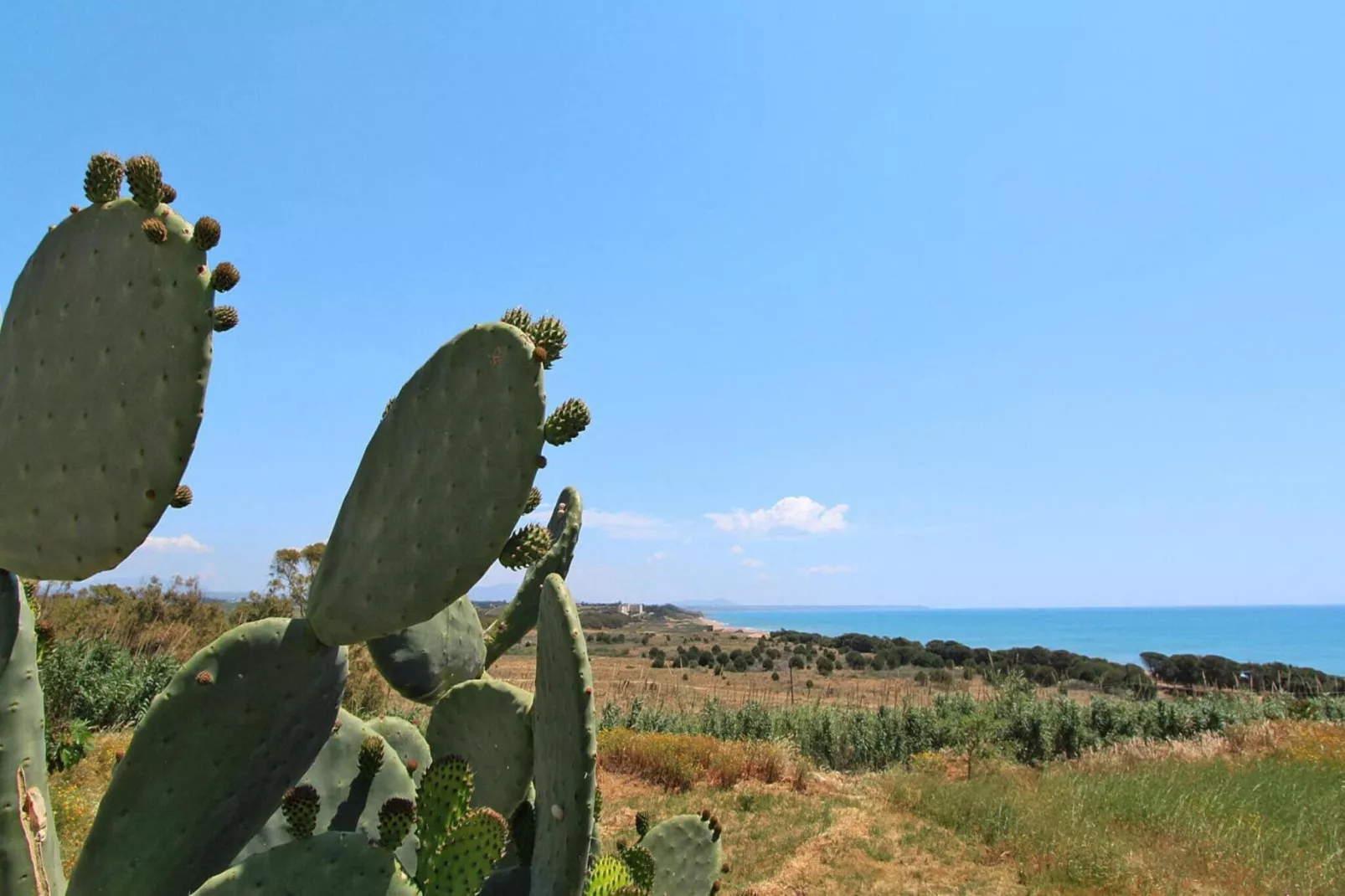 Apartments, Castelvetrano-Bilo La Barchetta-Gebieden zomer 1km