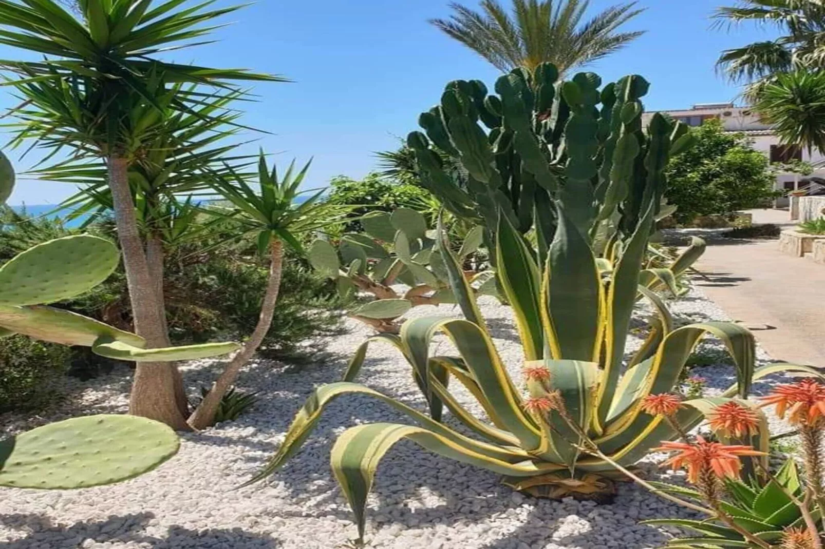 Apartments, Castelvetrano-Bilo La Barchetta-Gebieden zomer 1km