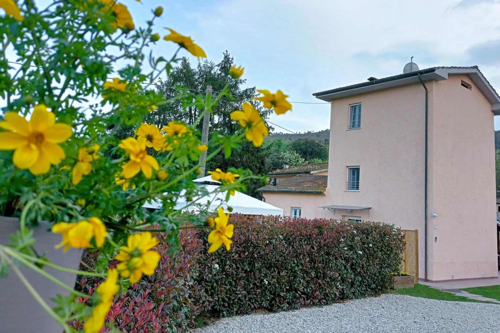 Casina di Andrea Capannori