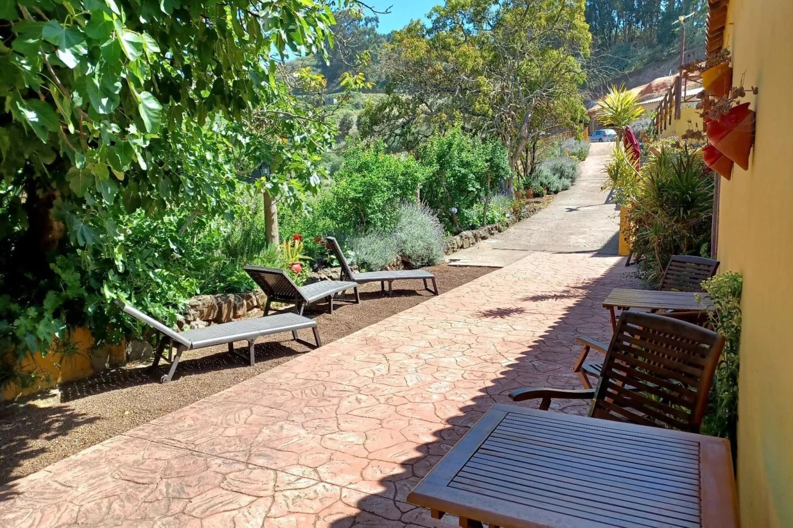 Finca Naturacanaria - Casa Azuaje-Terrasbalkon