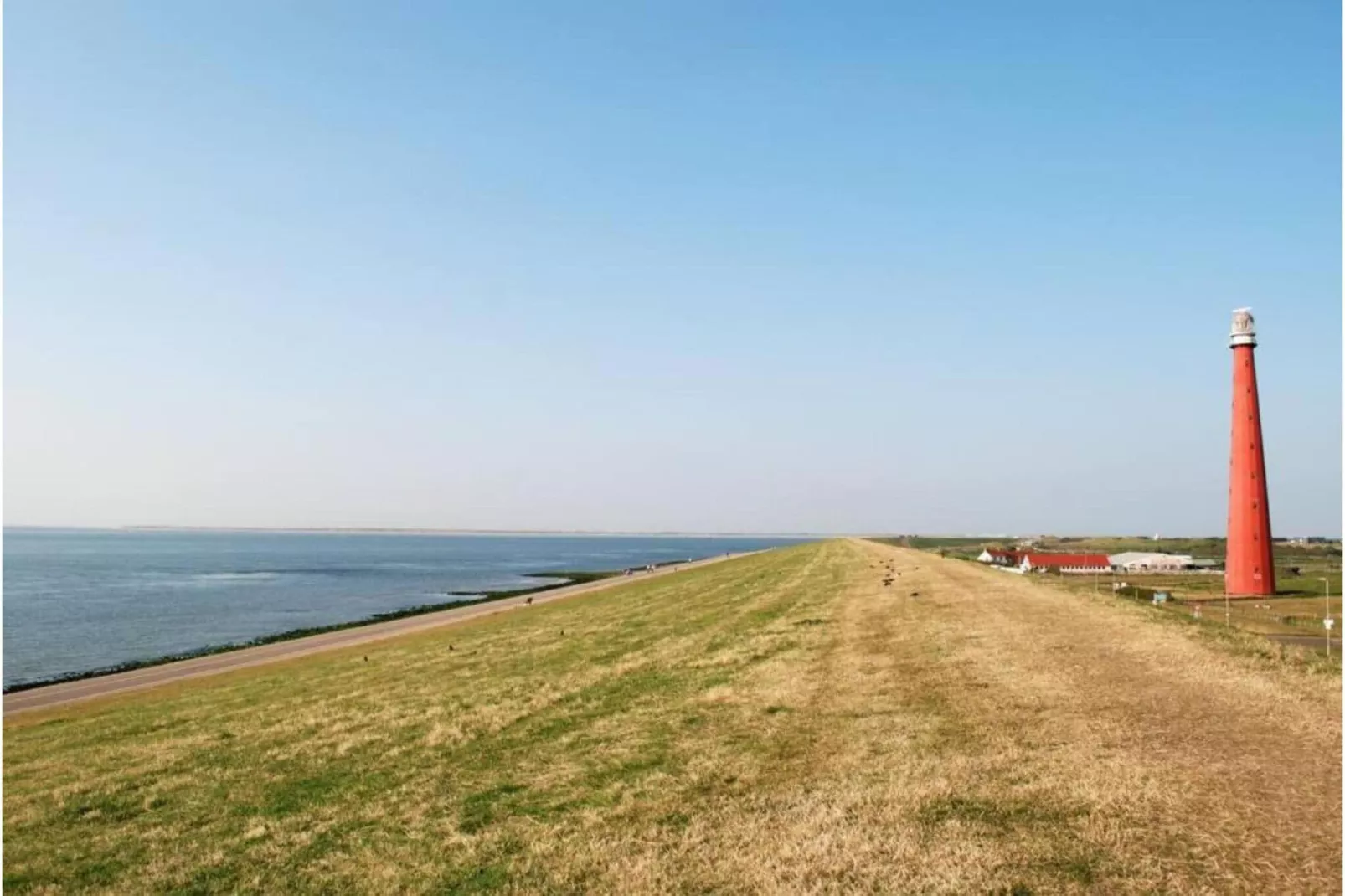 Résidence Juliana 29-Gebieden zomer 5km