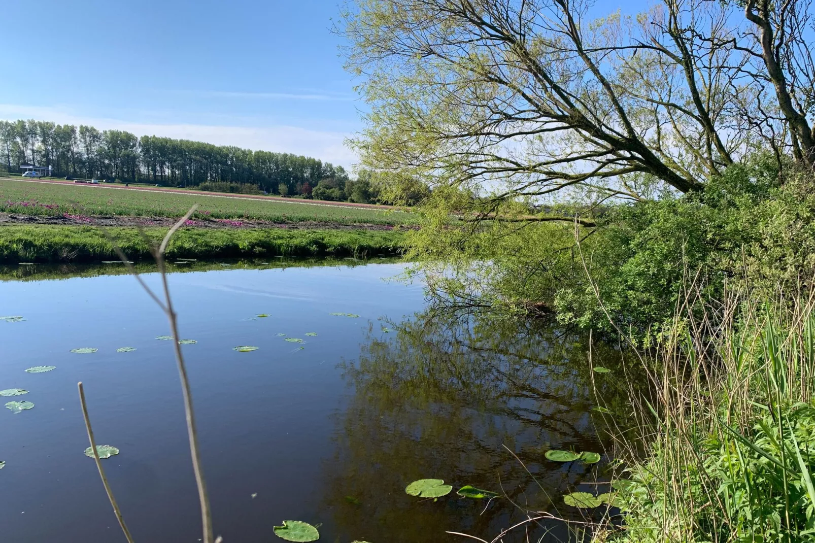 Casa Duna-Gebieden zomer 5km