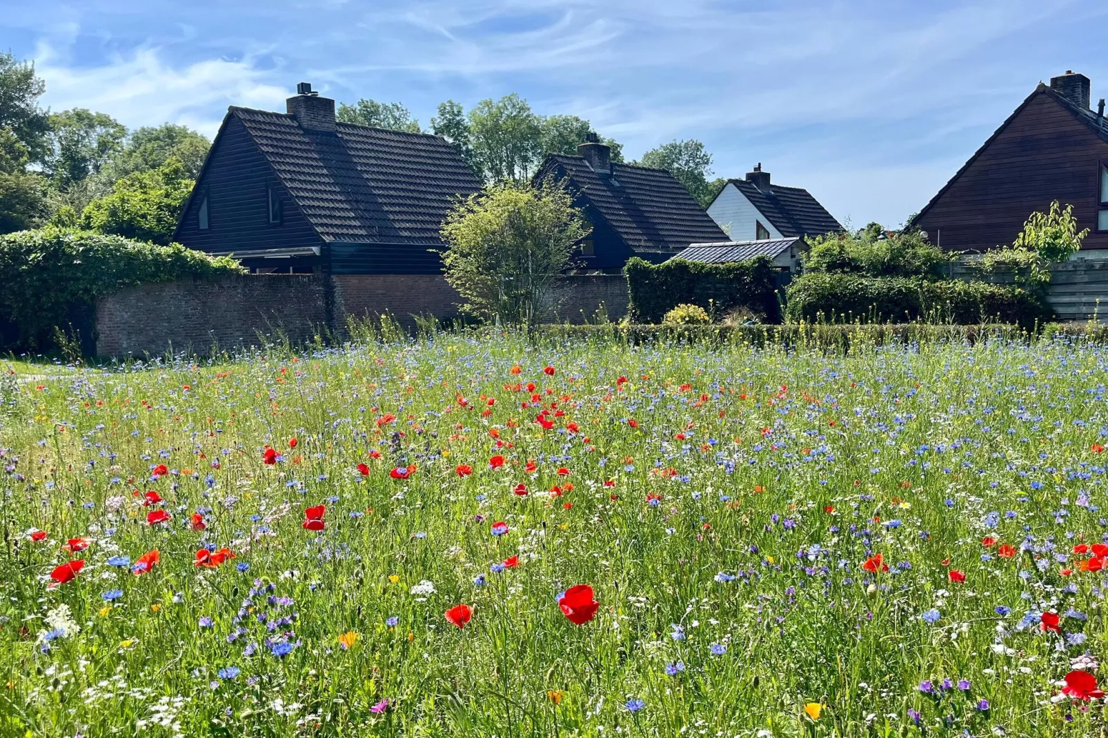 Familiehuis in Noordwijkerhout-Tuinen zomer