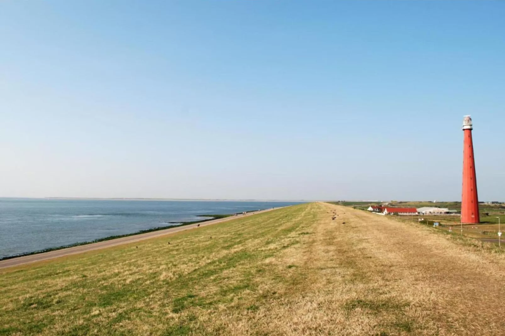 Résidence Juliana 54-Gebieden zomer 5km