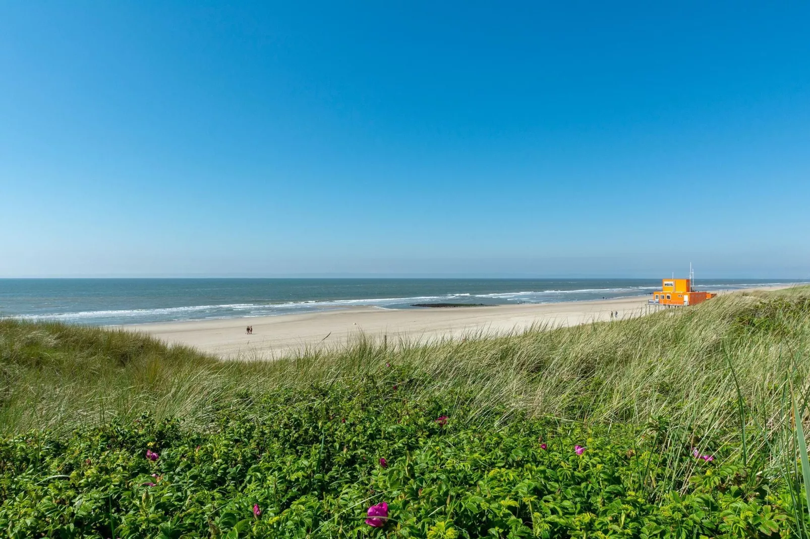 Duinland 179-Gebieden zomer 5km