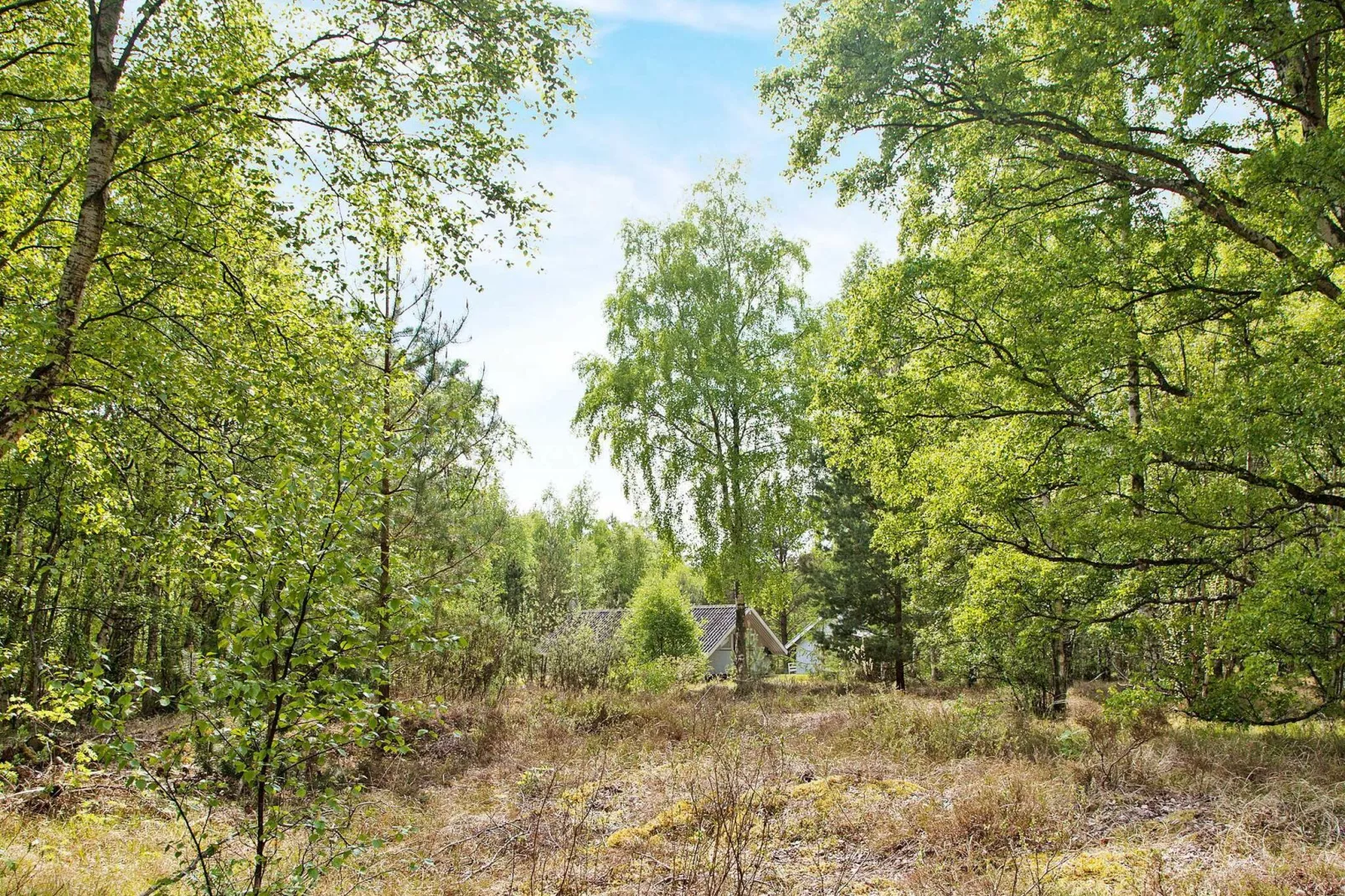 6 persoons vakantie huis in Læsø-Niet-getagd