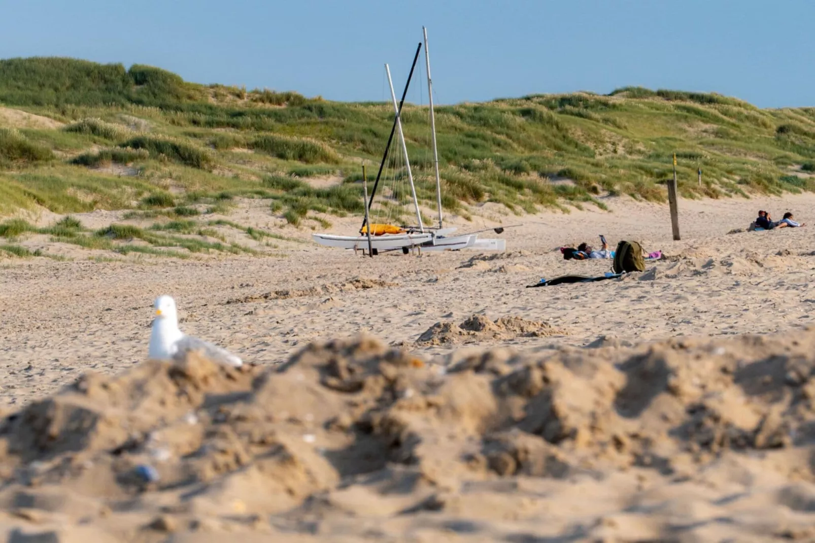 Résidence Juliana 56-Gebieden zomer 20km