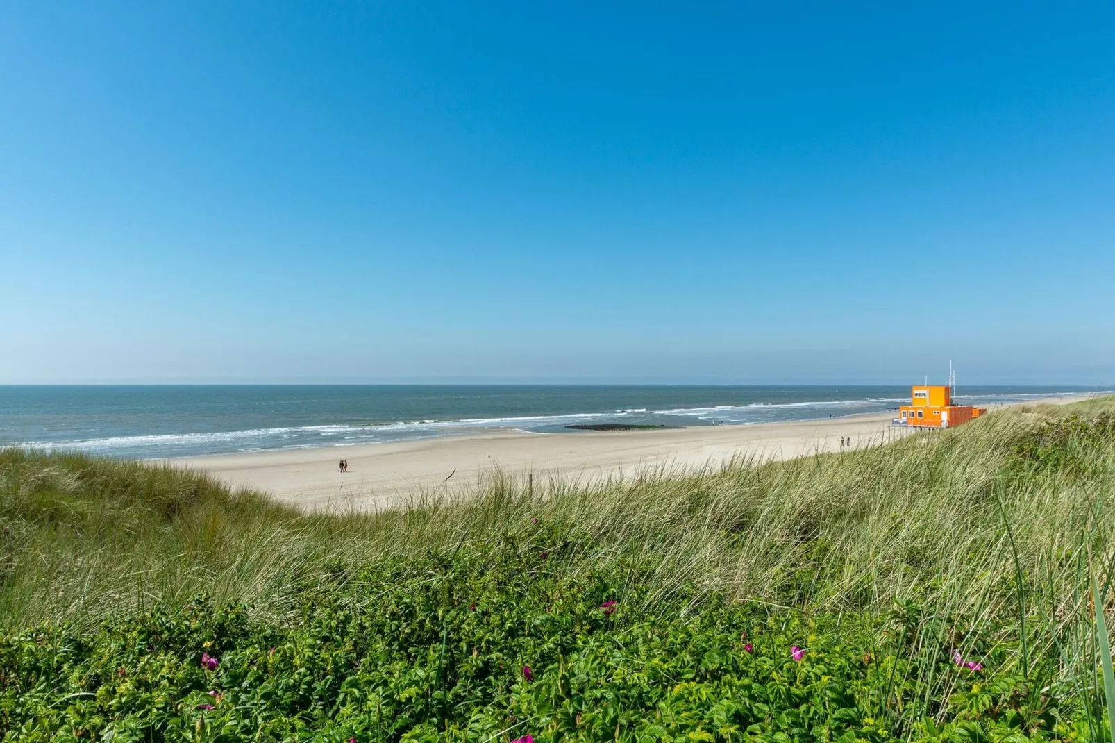 Strandhuys Zeester-Gebieden zomer 5km