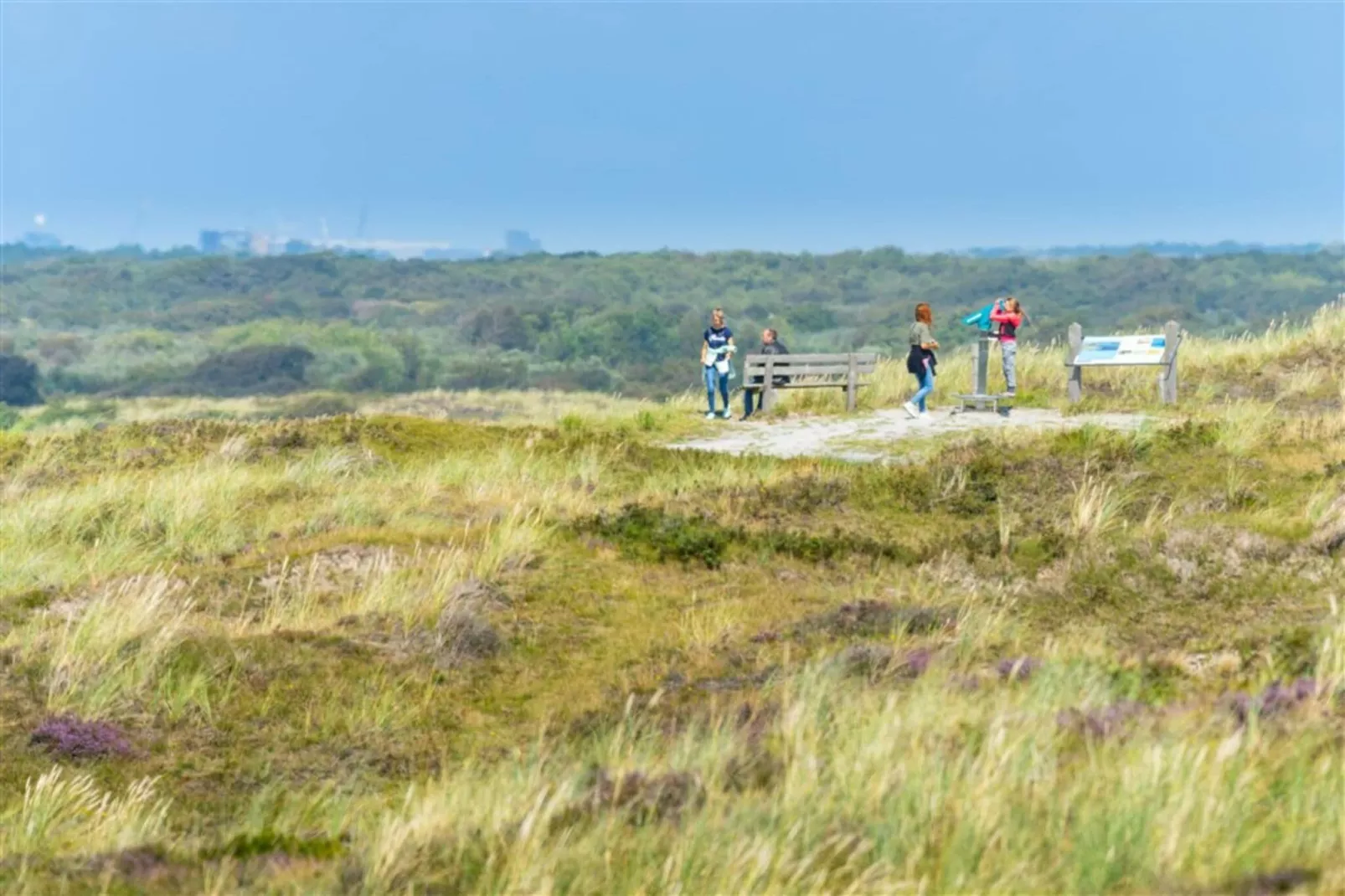 Duinland 15-Gebieden zomer 20km