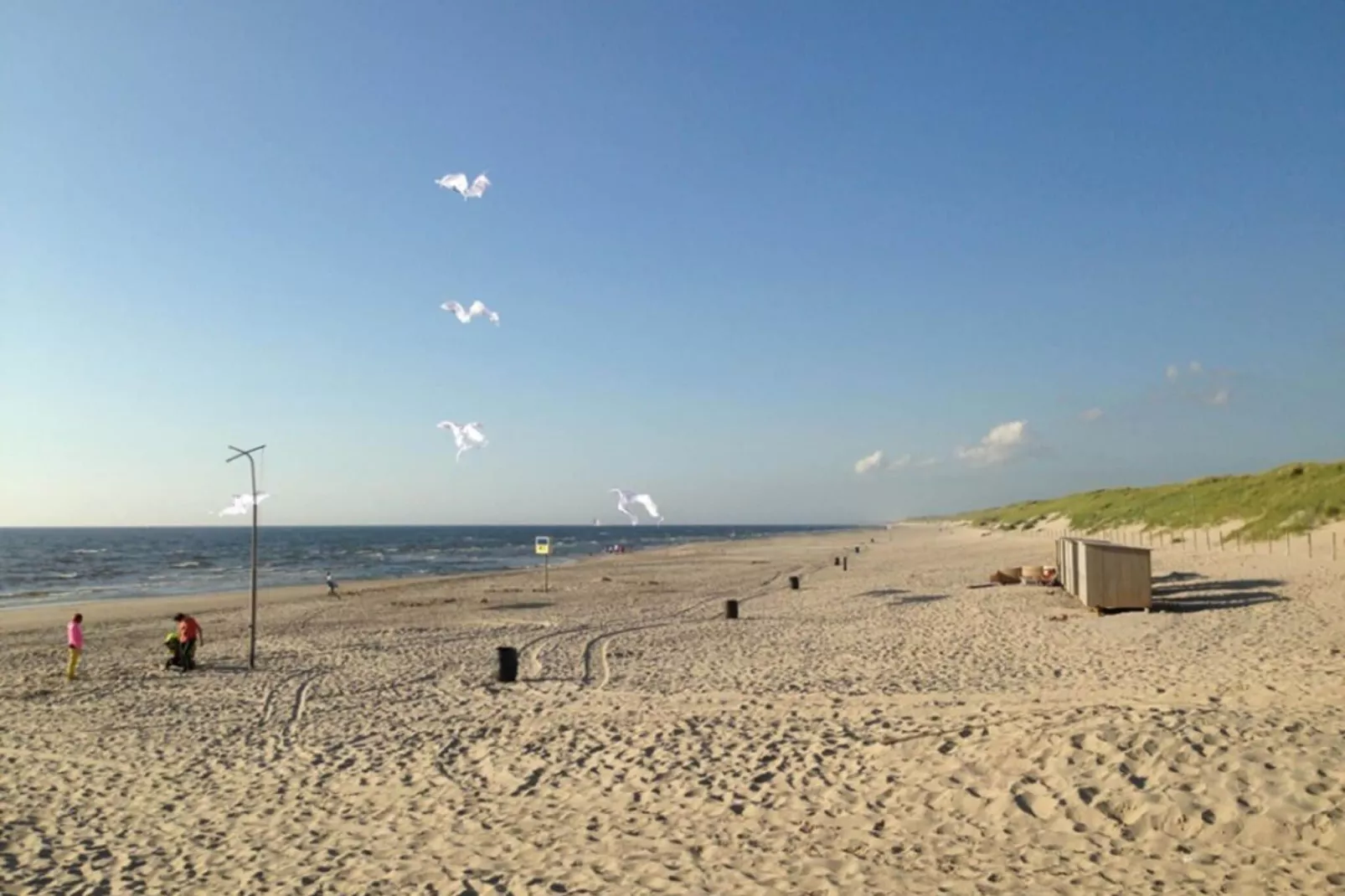 Duinland 186-Gebieden zomer 5km