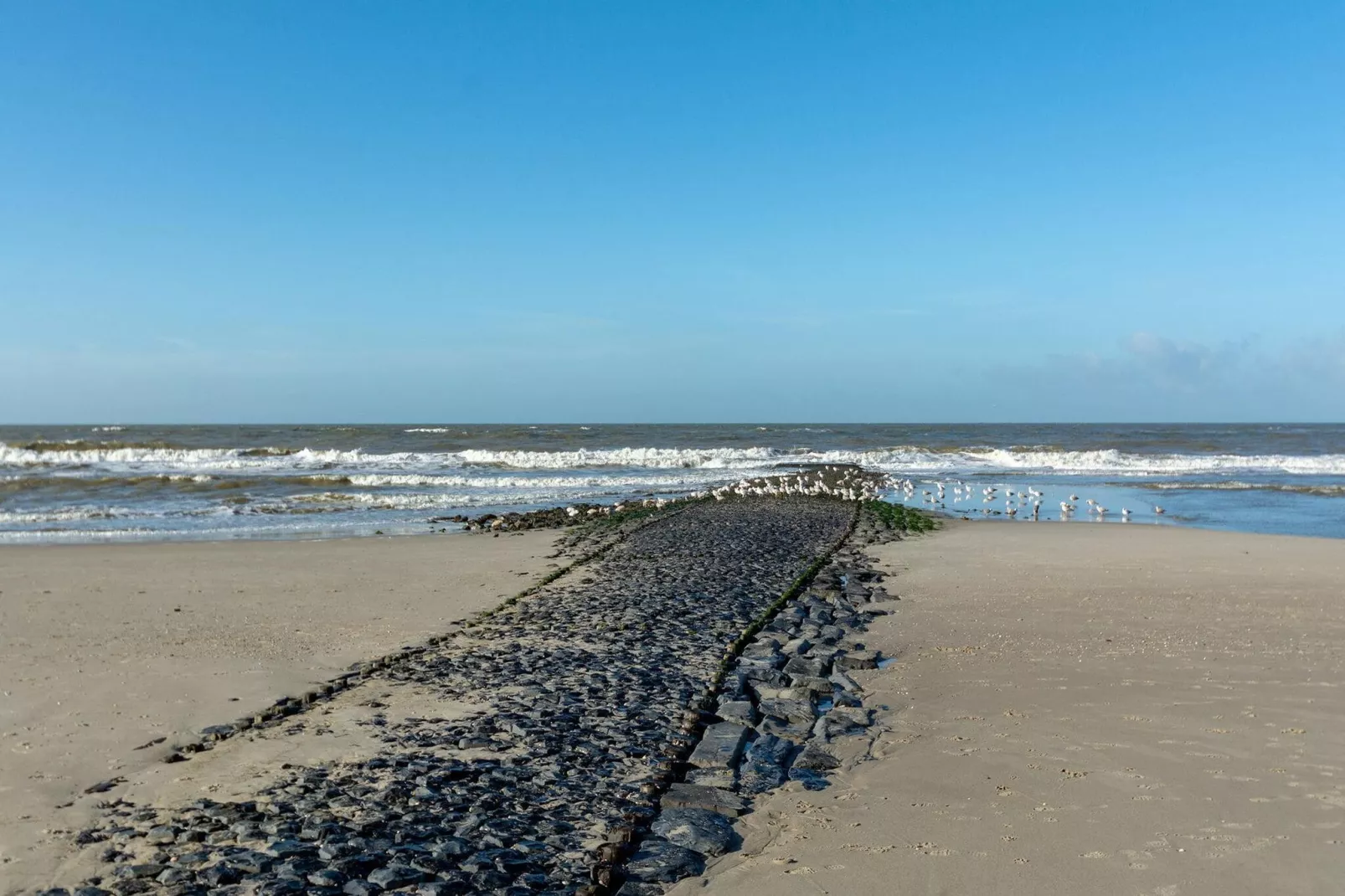 Strandleven 103-Gebieden zomer 5km