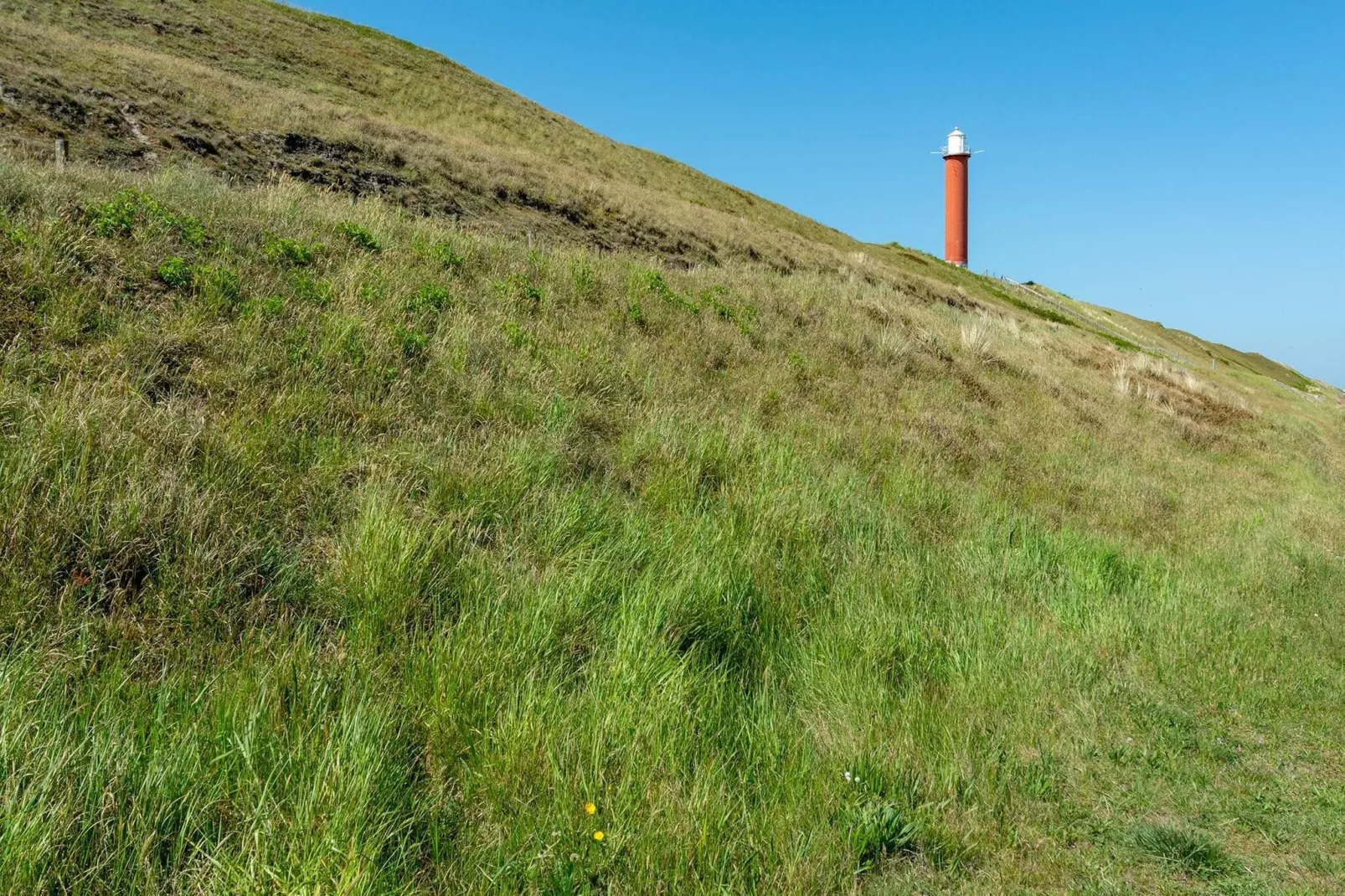 Strandleven 106-Gebieden zomer 5km