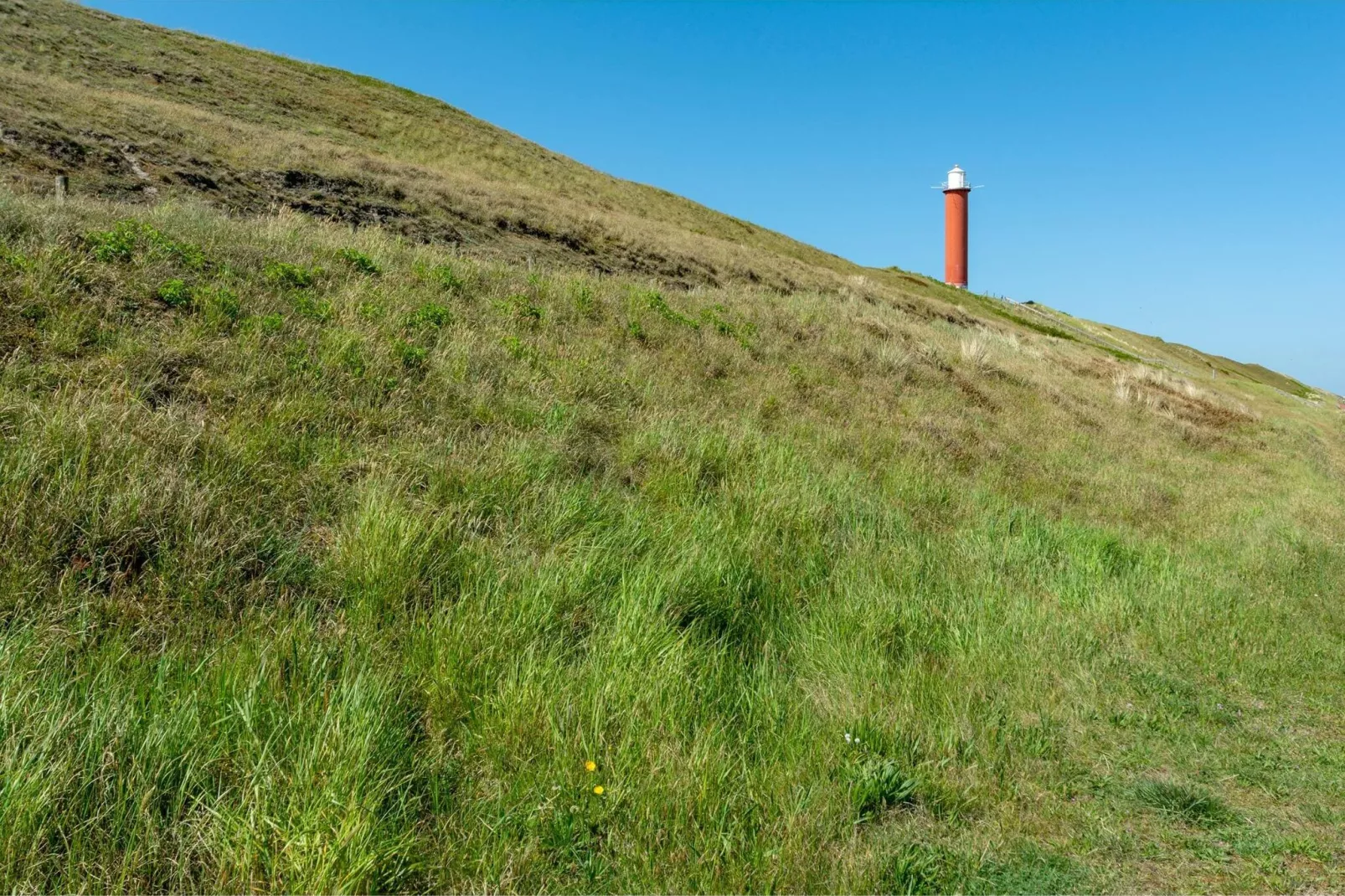 Sandepark 66-Gebieden zomer 5km