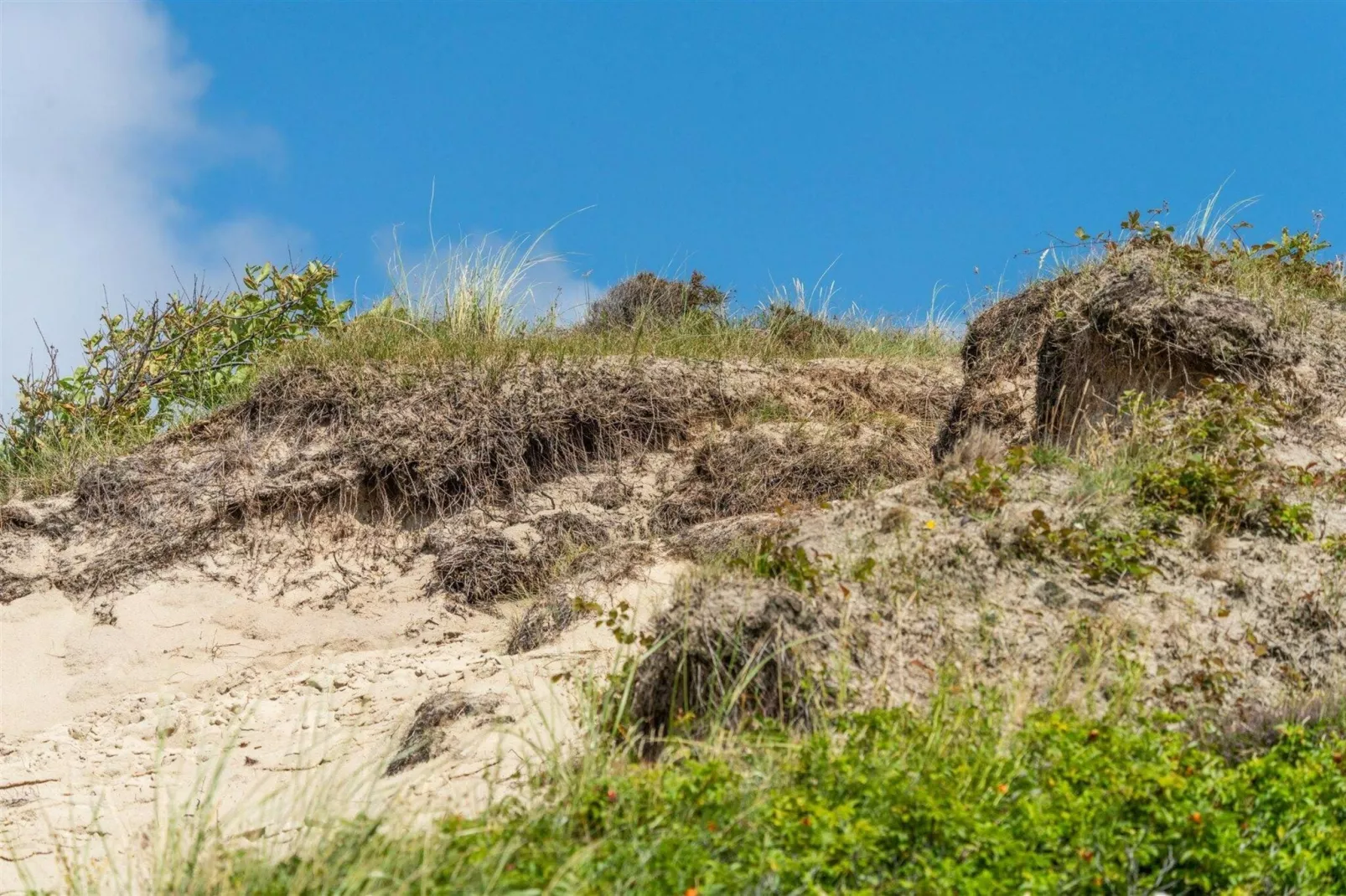 Strandhuis Uitwaayer-Gebieden zomer 20km