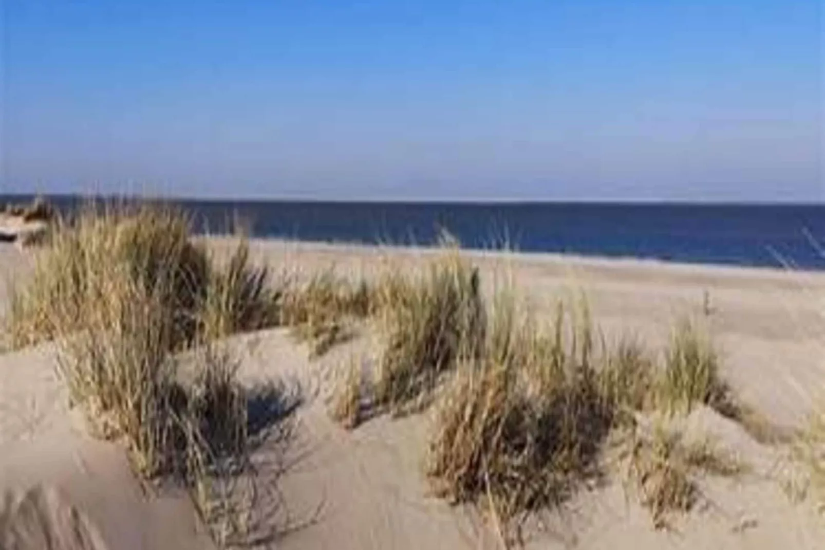 Strandhuys Alikruik-Buitenkant zomer