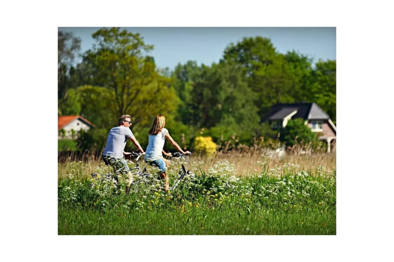 Duinroosweg 83-Gebieden zomer 5km