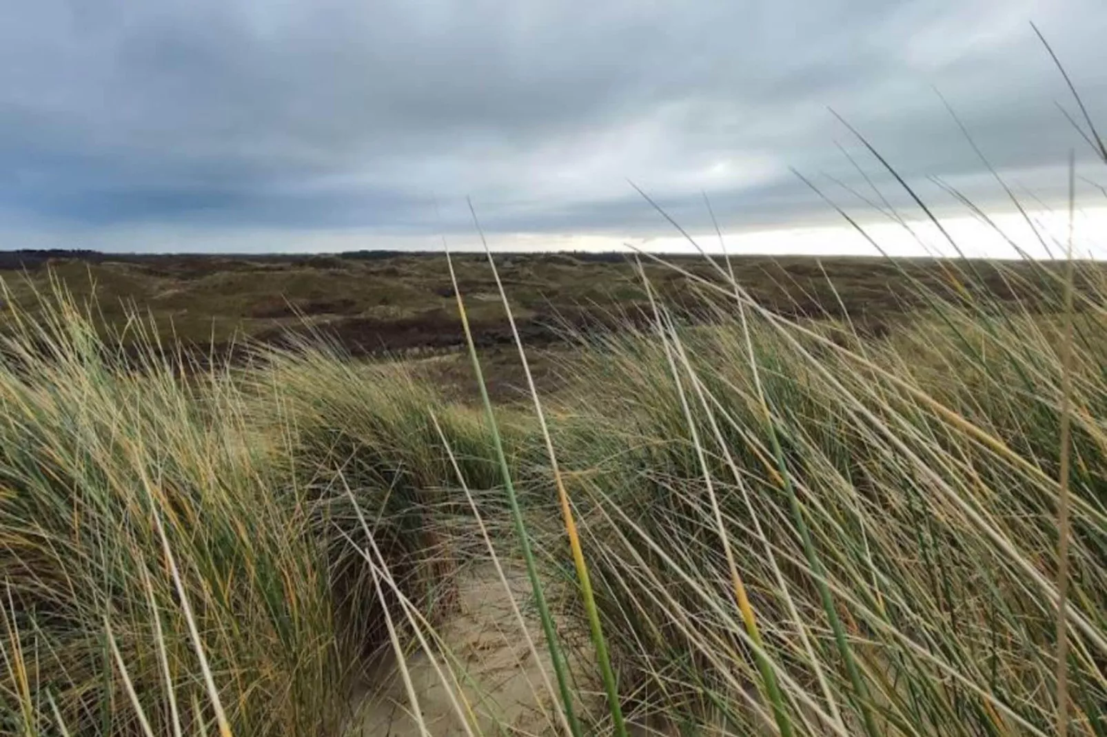 Beach Studio Texel-Gebieden zomer 5km