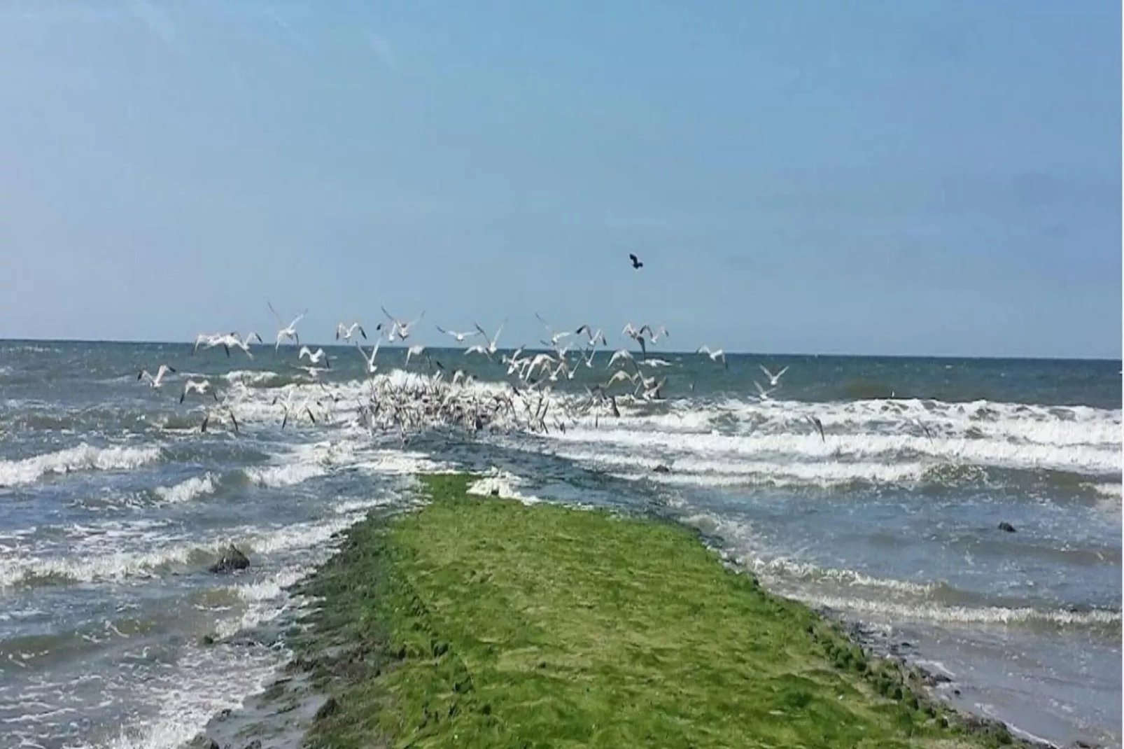 Boerenslag 2-Gebieden zomer 5km