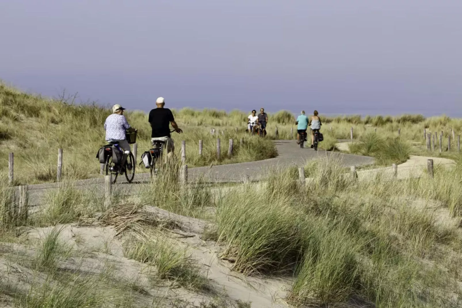 Duynlodge-Gebieden zomer 5km