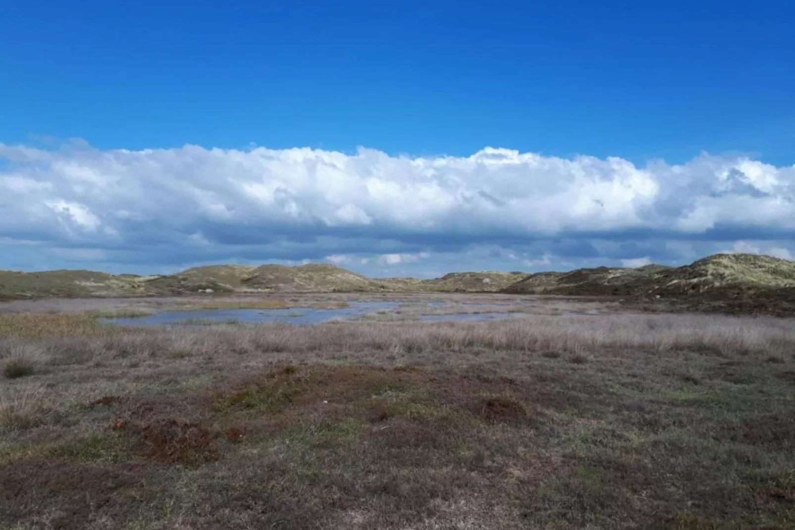 Duynlodge-Gebieden zomer 20km