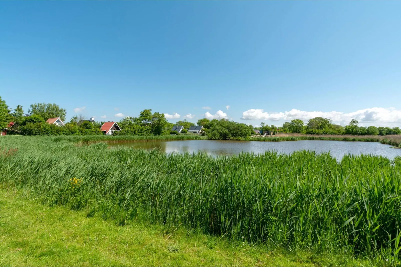 Sandepark 151 Villa Matisse-Gebieden zomer 20km