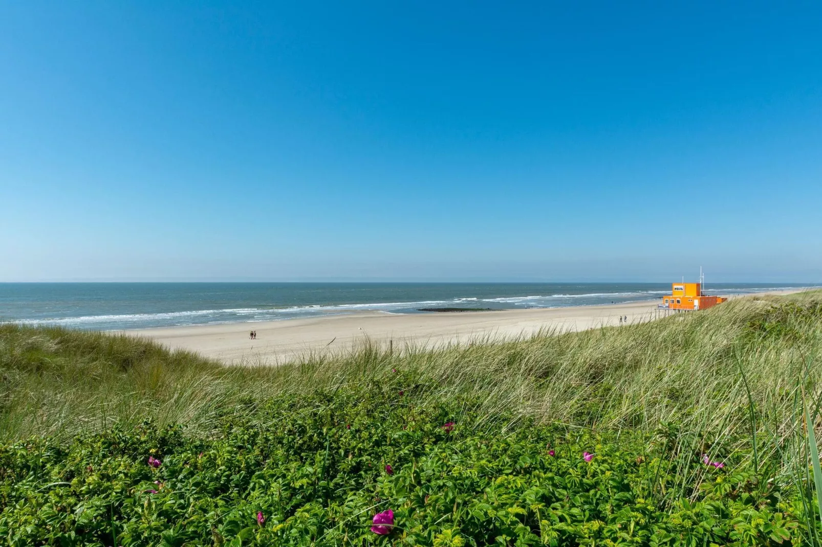 Suite Duinzicht-Gebieden zomer 1km