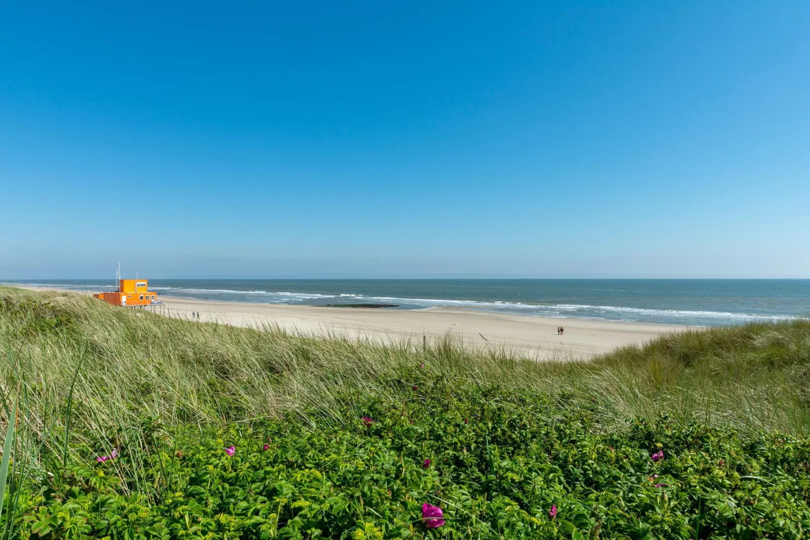 Suite Duinzicht-Gebieden zomer 5km