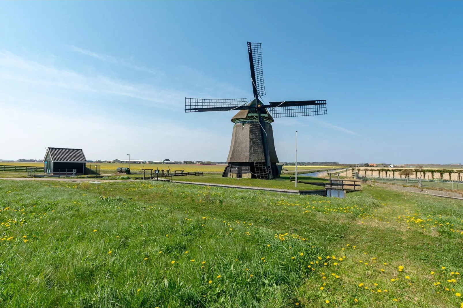 Résidence Juliana 65-Gebieden zomer 20km