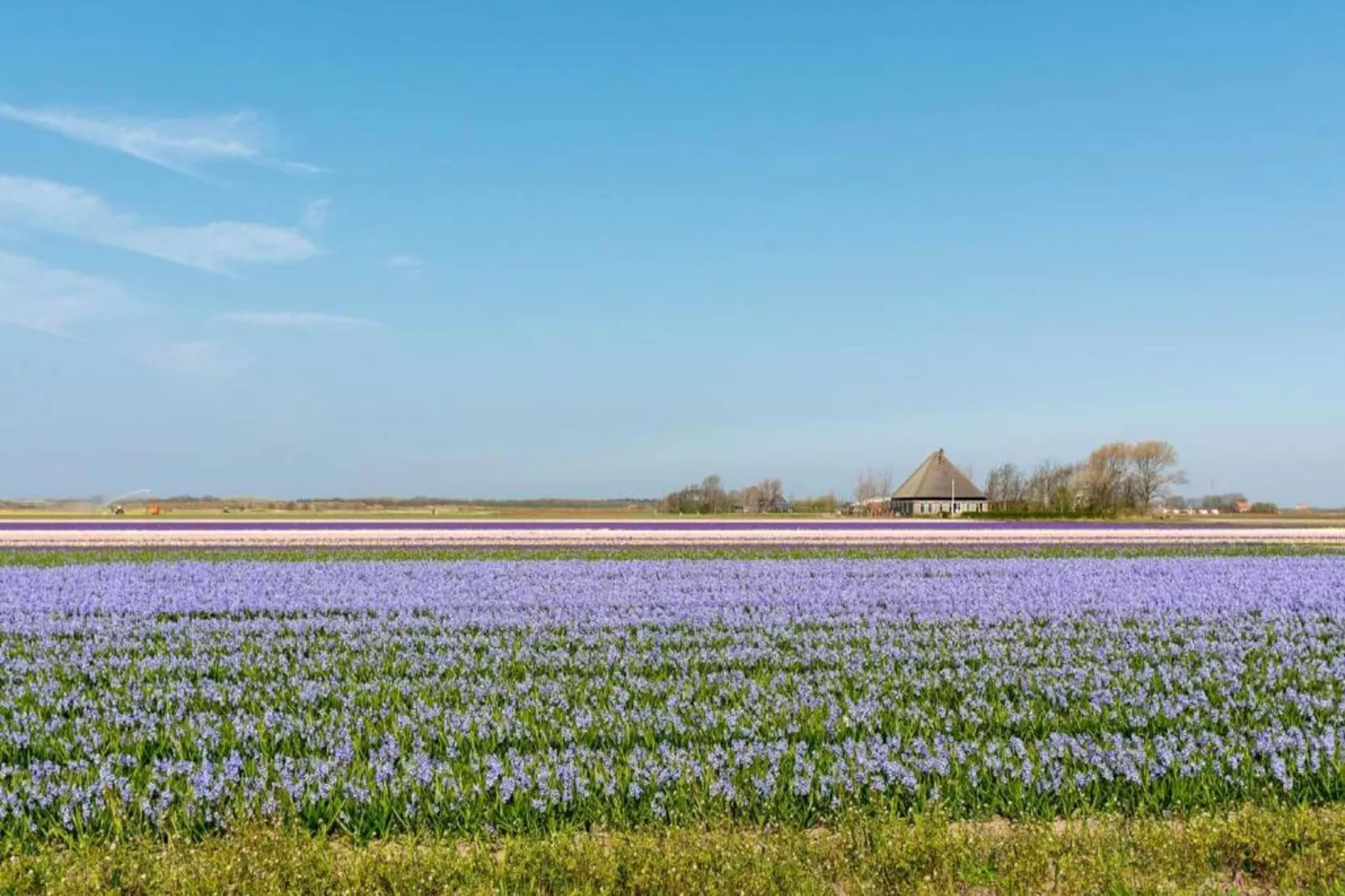 Luxe Villa Keizerskroon - Keizerkroon 63-Buitenkant zomer