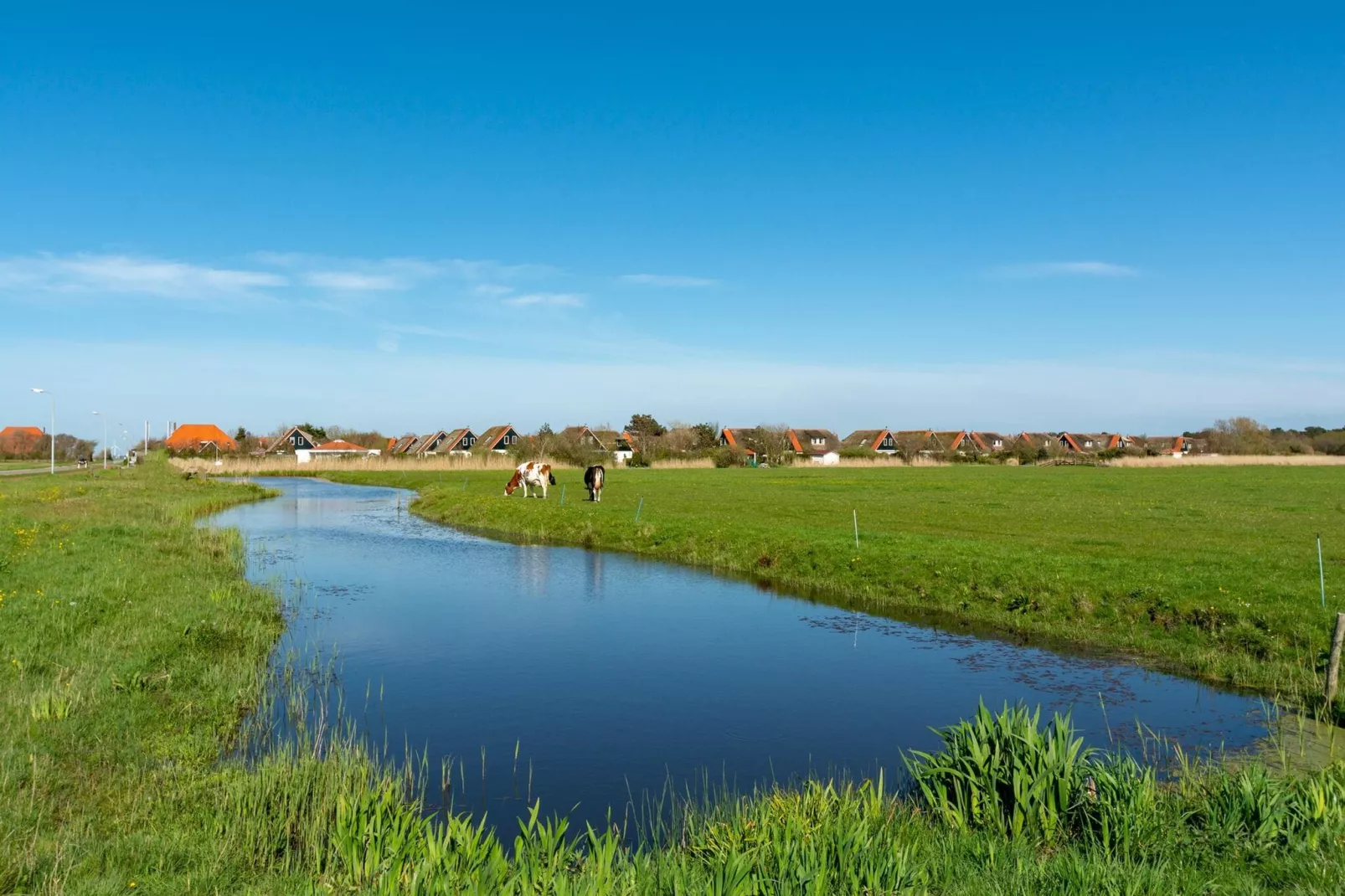 De Buitenplaats 72-Gebieden zomer 5km