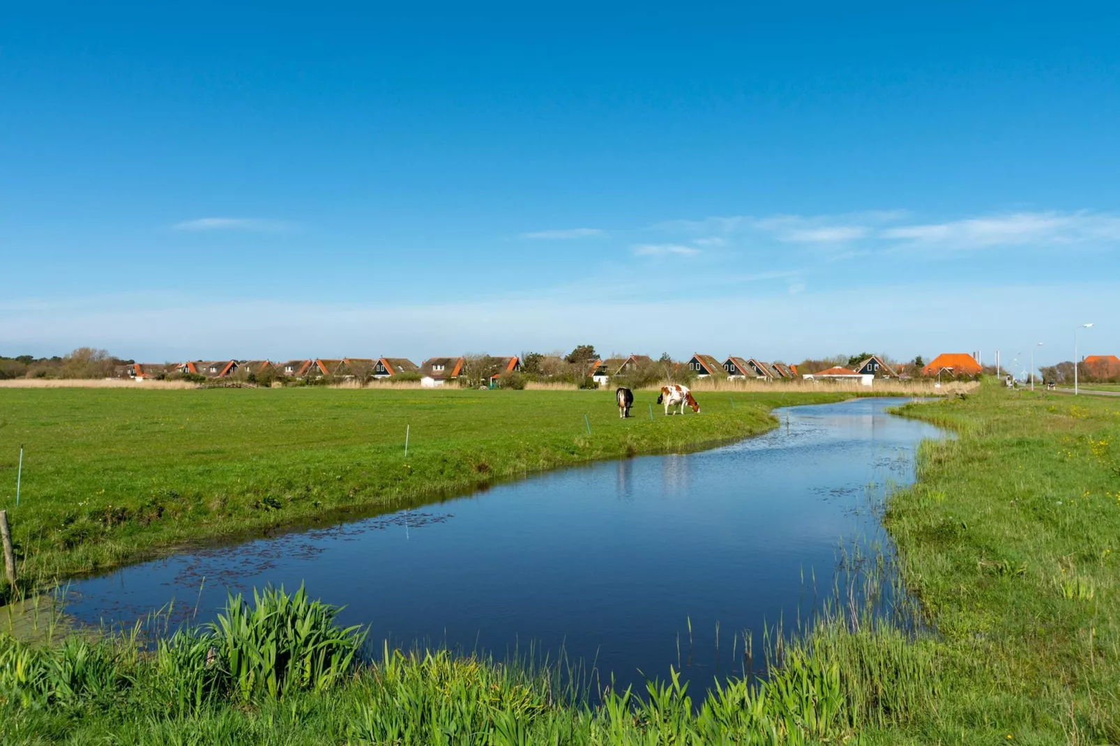 De Buitenplaats 72-Gebieden zomer 5km