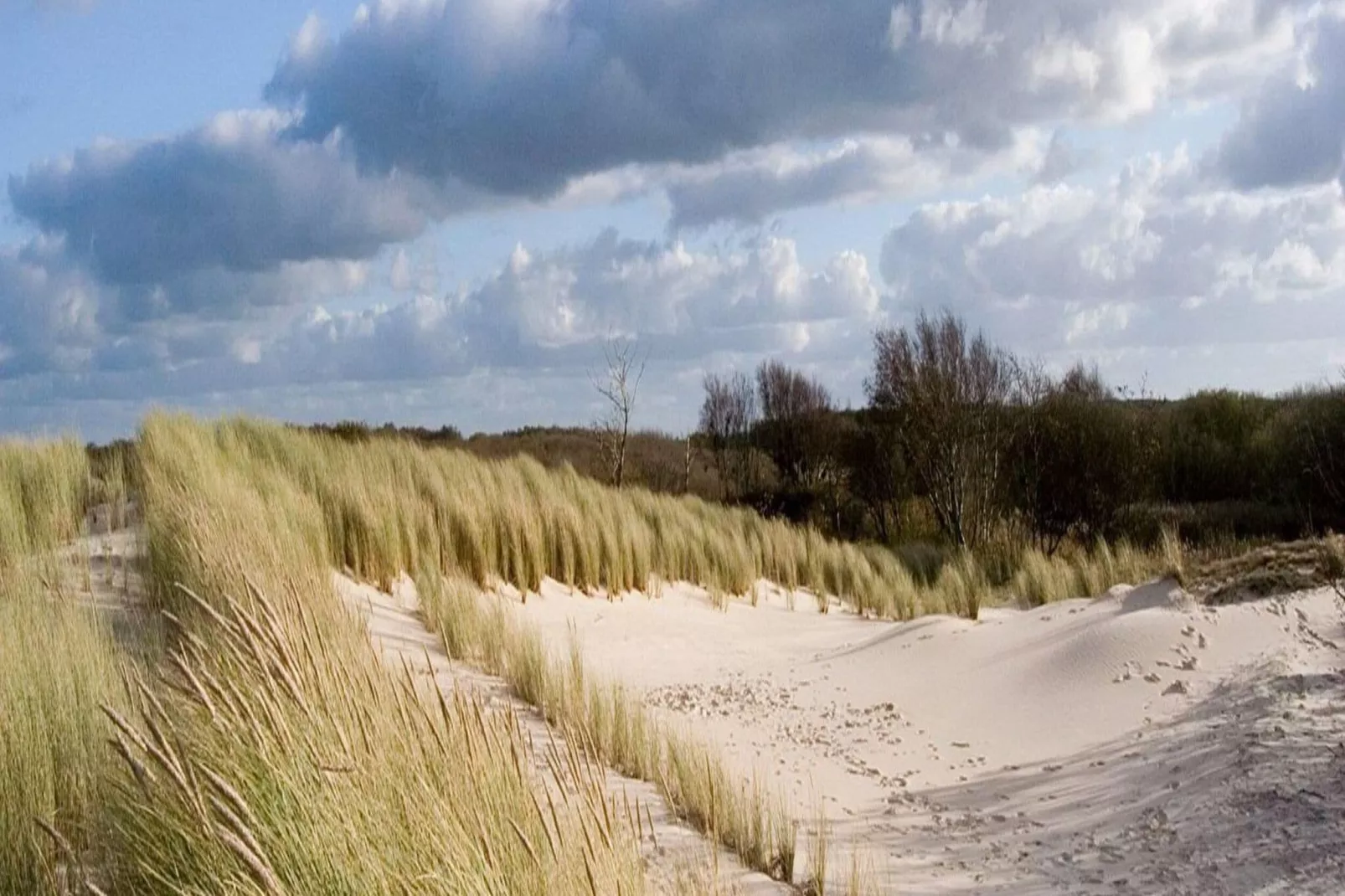 De Bunker-Gebieden zomer 5km