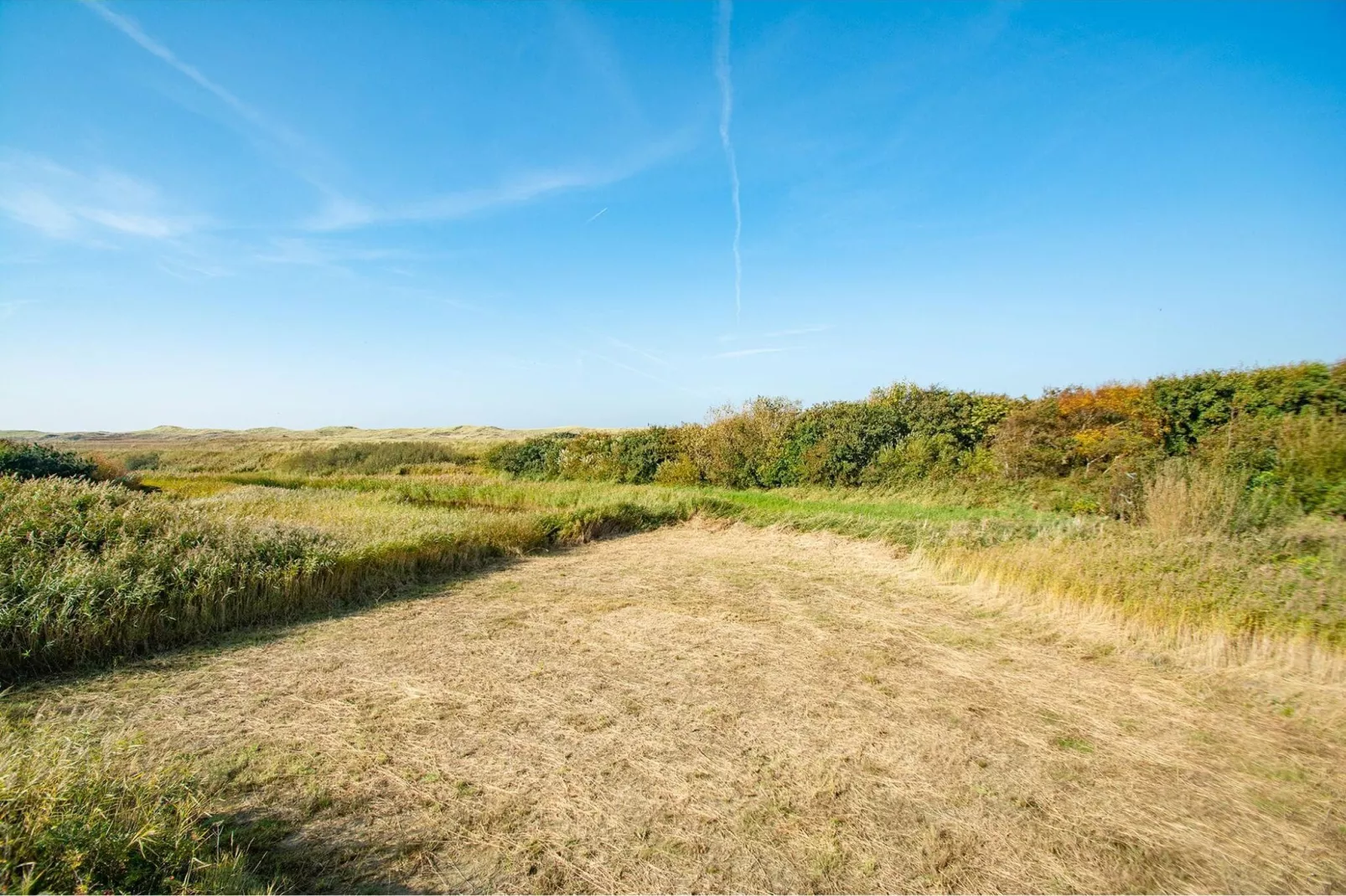 Duinerei C103-Gebieden zomer 5km